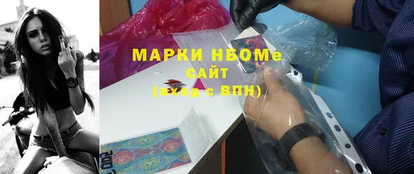 стаф Верея