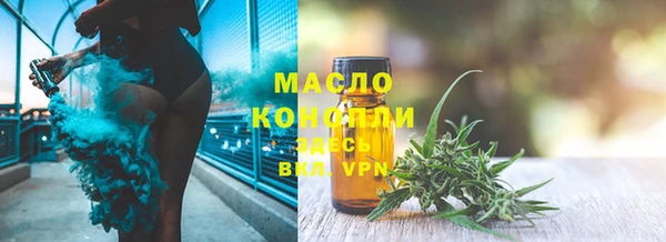 дмт Володарск