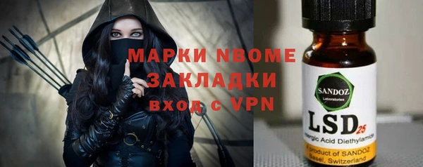 стаф Верея