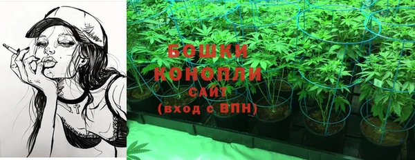 крисы Волоколамск