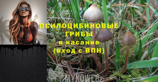 дмт Волосово