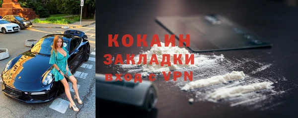 стаф Верея